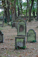 jüdischer friedhof mehlingen