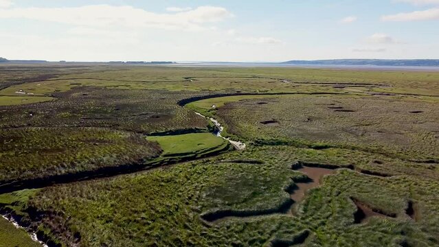 The Salt Marsh, Gower, Swansea, South Wales