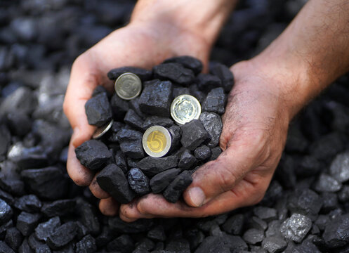 Coal grains in man coal miner's hands over a pile, closeup. Coal house heating and home heating energy. Mining industry and environment protection.  Coal air polution. Closeup