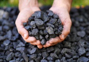 Coal grains in man coal miner's hands over a pile, closeup. Coal house heating and home heating energy. Mining industry and environment protection.  Coal air polution. Closeup