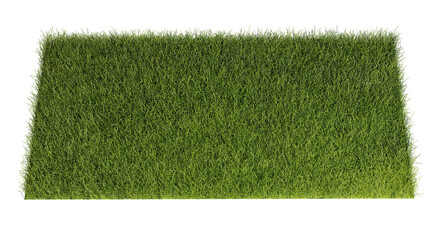 Grass isolated transparency background.