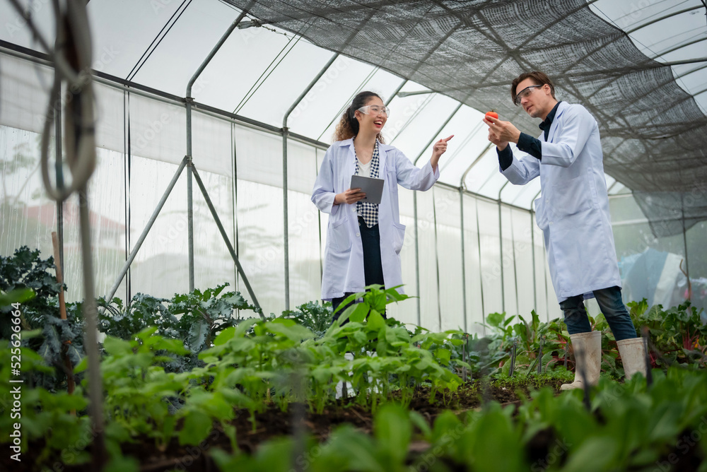 Wall mural portrait of man and woman agricultural researcher holding tablet while working on research at planta