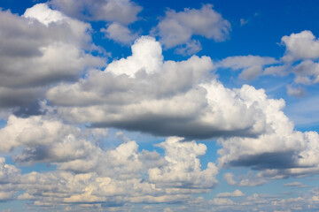 Fototapeta premium Rows of fluffy white cumulus clouds on blue sky. Heaven background