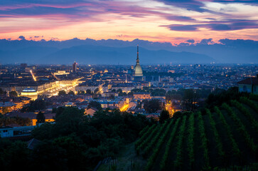 Turin (Torino) cityscape with the Mole Antonelliana - 525629079