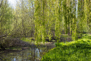 German countryside landscape, Lower Rhine Region