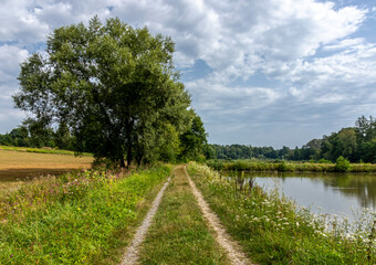 Fototapeta na wymiar Road between greenery and pond leading towards trees