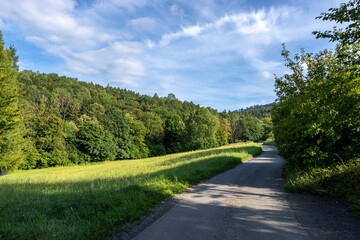 Fototapeta na wymiar Asphalt road running between the trees leading towards the hills