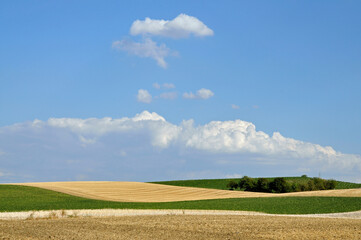 rheinhessische sommerlandschaft