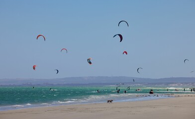 Kite surfers in Langebaan Lagoon on a sunny day in Western Cape, South Africa