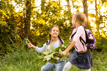 Fototapeta premium Schoolgirls picking autumn leaves for drying. School project making herbarium from dried leaves. Girl prepared leaves for autumn craft. girls walking in autumn park.