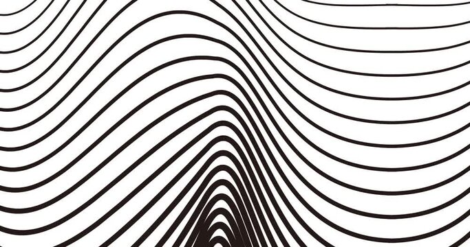 background animation of flowing concave and taper waves transparent black and white lines