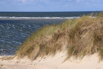 Fototapeta na wymiar tufts of grass in the sand of the dunes of the german island langeoog with the north sea in the background