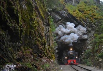 Steam train passing through a cave in a forest of Viseu de Sus, Romania - obrazy, fototapety, plakaty