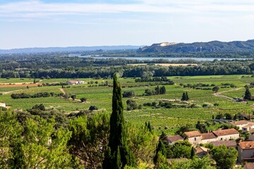 Beautiful view of vineyards around Avignon, France