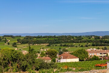Beautiful view of vineyards around Avignon, France