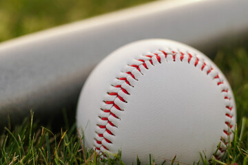 White leather ball and baseball bat on the grass, close up