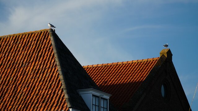 Closeup shot of brown house roofs with a small bird on each of them with a background of a blue sky
