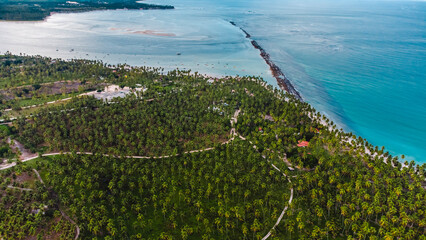 Tamandaré Carneiros Pernambuco Praia Litoral Paraíso Tropical Pernambucano Paradisíaco Coqueiro...