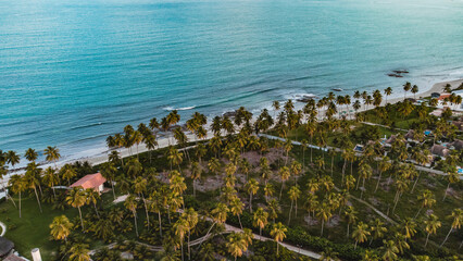 Tamandaré Carneiros Pernambuco Praia Litoral Paraíso Tropical Pernambucano Paradisíaco Coqueiro...