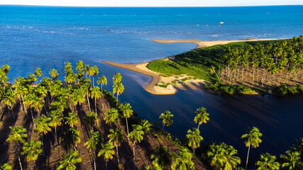 Tamandaré Carneiros Pernambuco Praia Litoral Paraíso Tropical Pernambucano Paradisíaco Coqueiro Mar Oceano Paisagem Drone Brasil Viagem Turismo Férias Verão Português