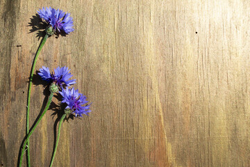 flowers on wooden background