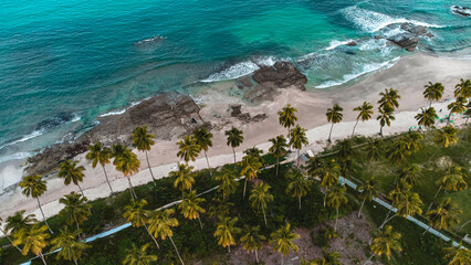 Tamandaré Carneiros Pernambuco Praia Litoral Paraíso Tropical Pernambucano Paradisíaco Coqueiro...