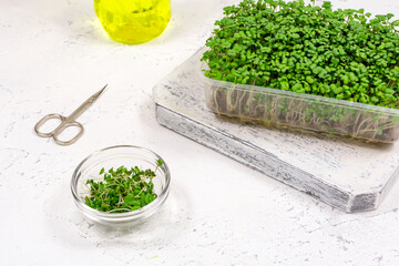 Mustard microgreens grow in a tray and cut in a glass bowl by scissors. The concept of proper vegan food.