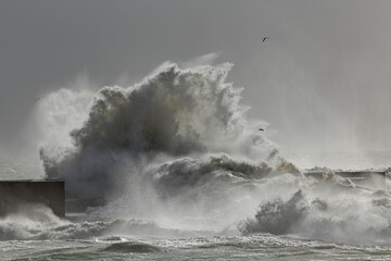 Big stormy sea wave splash
