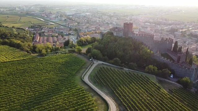 Drone footage over the vineyards and castle of Veneto city on a sunny day in Italy
