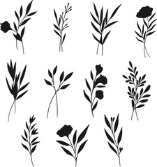 Collection of Cute Hand drawn Flower isolated flat vector Silhouettes