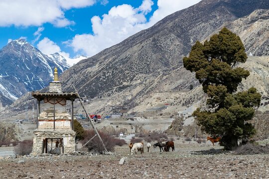 Landscape view of Ringmogaon on the Phoksundo trek in Manang, Annapurna circuit trek, Nepal