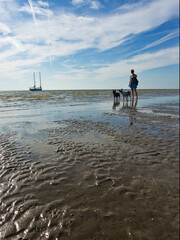 Am Meer bei Ebbe mit zwei Hunden und Segelschiff