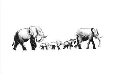 Walking African elephant family. Ink black and white drawing © Mansoor