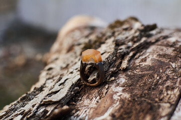 Photo of a ring made of epoxy resin lying on a texture cut of a tree. Eco-friendly material to create beautiful things. Bright unusual gift for a girl. Epoxy resin is often used for decor.
