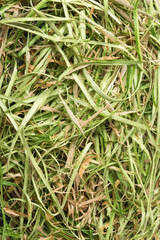 peeled tree bark or outer layer of the trunk for making organic fertilizer or mulching, top view of biodegradable garden recycling material, full frame