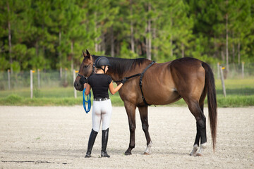 An equestrian works with a horse wearing a surcingle. 