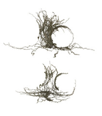 3D render circle type running ivy