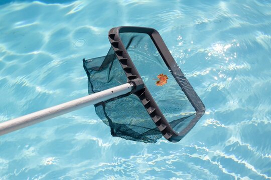Cleaning swimming pool with net skimmer