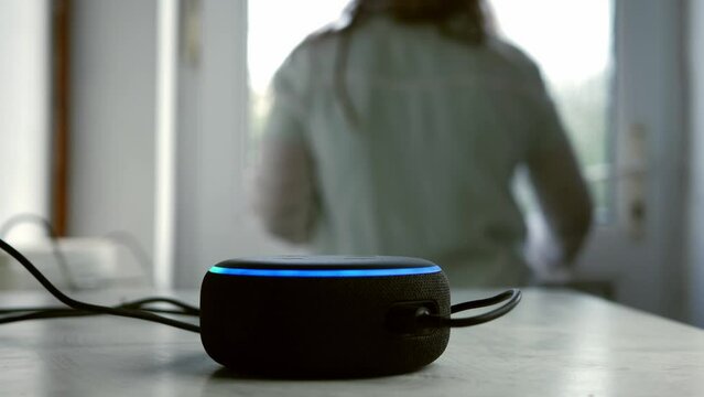 Home smart voice device