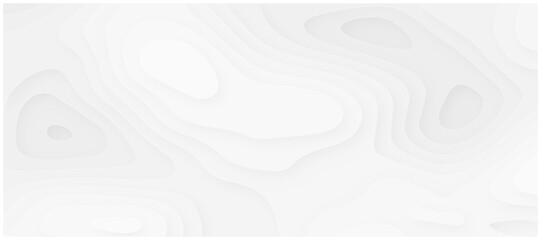 abstract curve line white background. Soft smooth lines curving to form a surface of light and shadow. abstract curvature line pattern white background. 3d white papercut topography relief. 