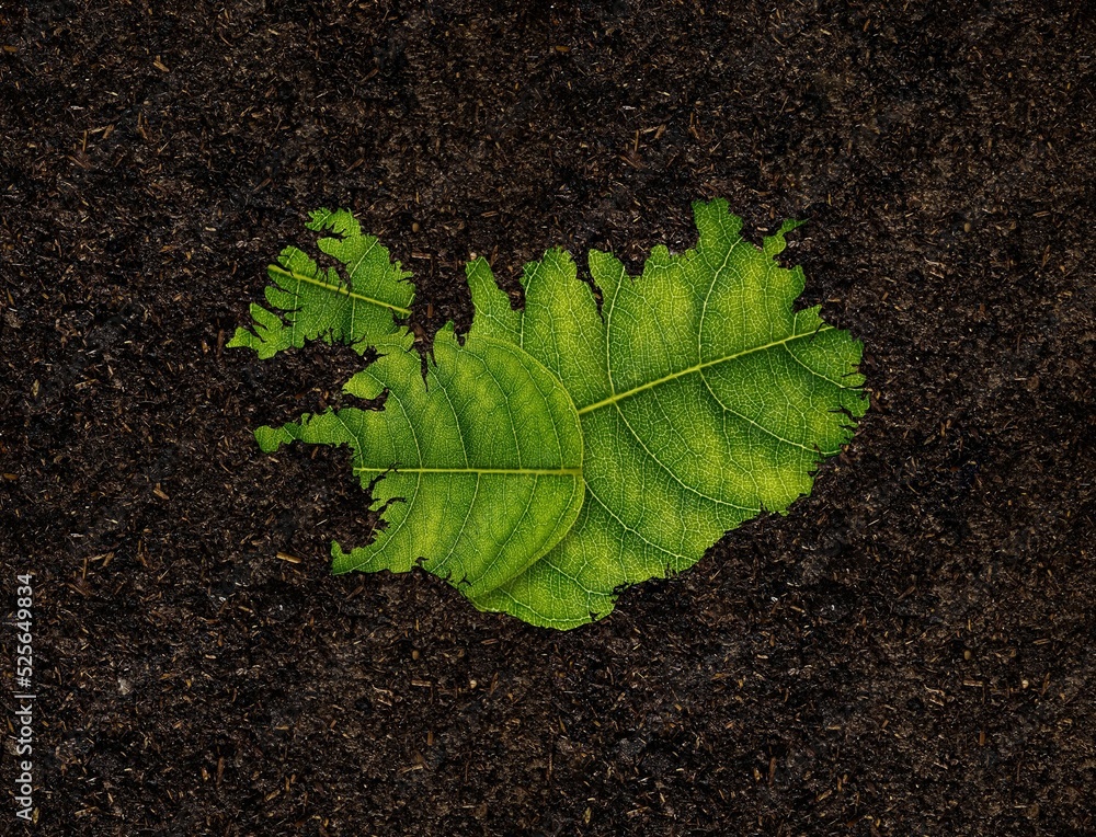 Poster 3d rendering of the border of iceland made of a green leaf on a dark soil background