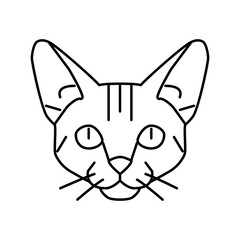 abyssinian cat cute pet line icon vector illustration