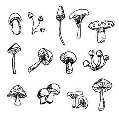 Vector hand drawn set of mushrooms