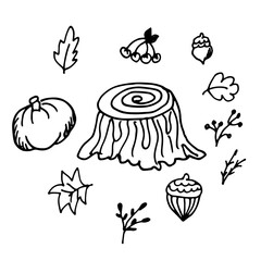 Vector hand drawn autumn icon set: stump, acorn, leaves