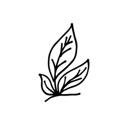 Vector hand drawn silhouette of a leaf. Icon