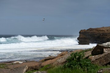 North Coast of Orkney