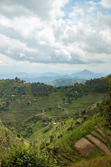 Fototapeta na wymiar Beautiful landscape in southwestern Uganda, at the National Park, Rwanda. Copy Space. Travel
