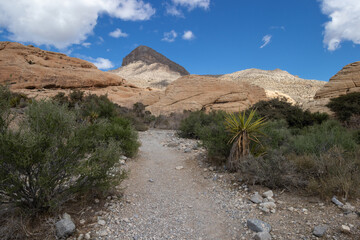 Trail in the desert at Red Rock Canyon in Las Vegas, Nevada