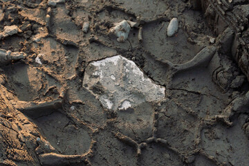 Fototapeta premium A deep car track on a Russian dirt road after rain. The imprint of car tires on the dirt. Dried mud on the roads in the village.