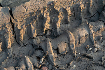 A deep car track on a Russian dirt road after rain. The imprint of car tires on the dirt. Dried mud on the roads in the village.